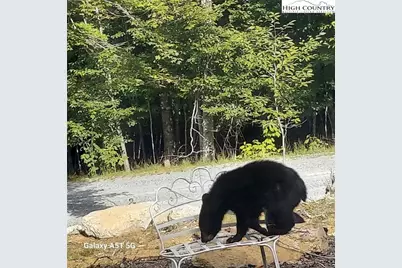 211 & 213 Wild Daisy Lane, Beech Mountain, NC 28604 - Photo 31