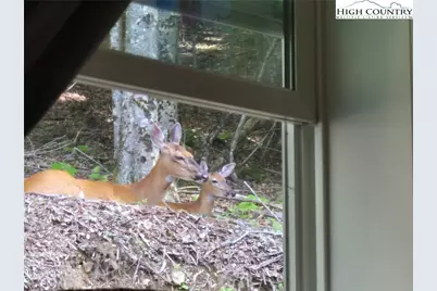 211 & 213 Wild Daisy Lane, Beech Mountain, NC 28604 - Photo 35