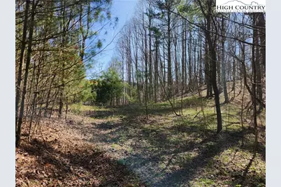 6033 Hwy 321 Highway, Sugar Grove, NC 28679 - Photo 23