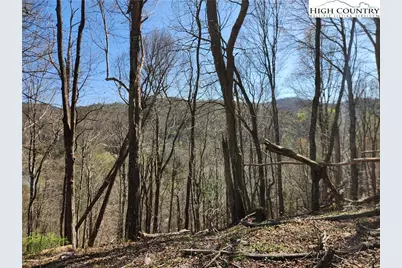 6033 Hwy 321 Highway, Sugar Grove, NC 28679 - Photo 27