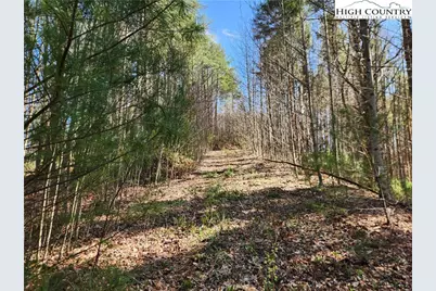 6033 Hwy 321 Highway, Sugar Grove, NC 28679 - Photo 21