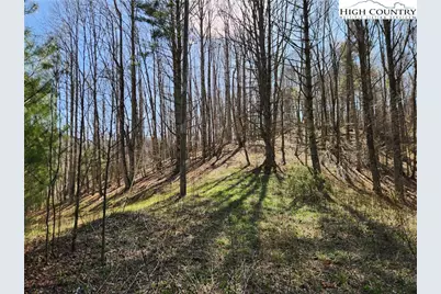 6033 Hwy 321 Highway, Sugar Grove, NC 28679 - Photo 3