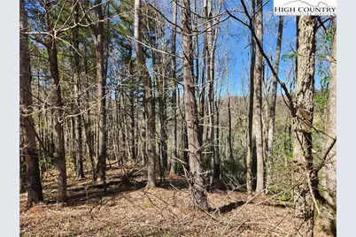 6033 Hwy 321 Highway, Sugar Grove, NC 28679 - Photo 25