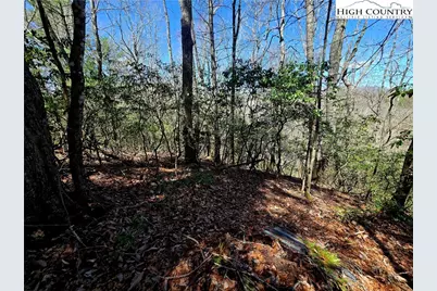 Tbd (Lots 5 & 6) River Ridge Road, Boone, NC 28607 - Photo 3