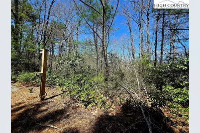 Tbd (Lots 5 & 6) River Ridge Road, Boone, NC 28607 - Photo 5