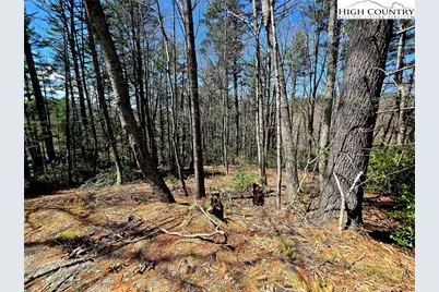 Tbd (Lots 5 & 6) River Ridge Road, Boone, NC 28607 - Photo 1