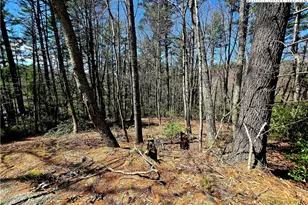 Tbd (Lots 5 & 6) River Ridge Rd, Boone, NC 28607 - Photo 1