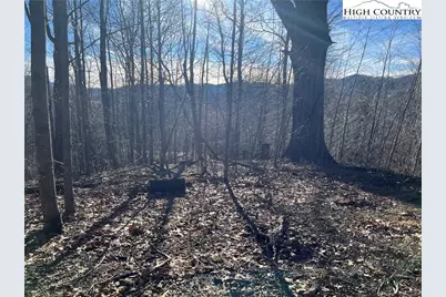 Lot 33 Paradise Valley Circle, Creston, NC 28615 - Photo 9