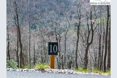 Lot 10 Poplar Forest Drive, Boone, NC 28607 - Photo 3