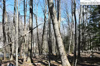 132 Overbrook Trail, Beech Mountain, NC 28604 - Photo 7