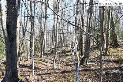 132 Overbrook Trail, Beech Mountain, NC 28604 - Photo 3