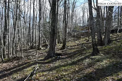 132 Overbrook Trail, Beech Mountain, NC 28604 - Photo 9