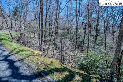Lot 1 Tanawha Parkway, Blowing Rock, NC 28605 - Photo 11