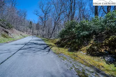 Lot 1 Tanawha Parkway, Blowing Rock, NC 28605 - Photo 5