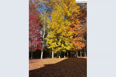 177 Eagle Nest Lane, Fleetwood, NC 28626 - Photo 31