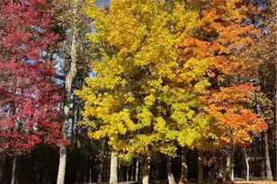 177 Eagle Nest Ln, Fleetwood, NC 28626 - Photo 31