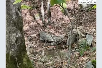 134 Lower Snowbird Trail, Beech Mountain, NC 28604 - Photo 11