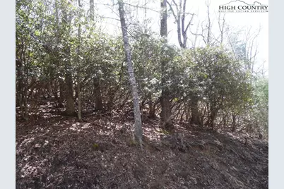 #31 & #32 Happy Ridge Road, Piney Creek, NC 28631 - Photo 3