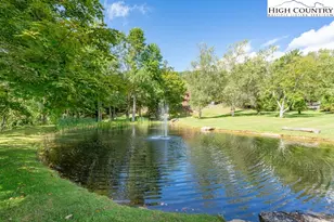 52 Eagle Cottage Ln, Banner Elk, NC 28604 - Photo 45