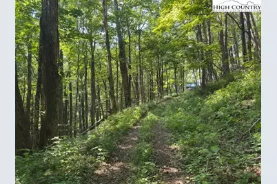 796 Goat Mountain Road, Zionville, NC 28698 - Photo 5