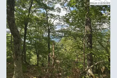 796 Goat Mountain Road, Zionville, NC 28698 - Photo 17