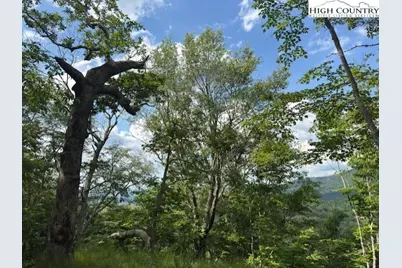 796 Goat Mountain Road, Zionville, NC 28698 - Photo 9