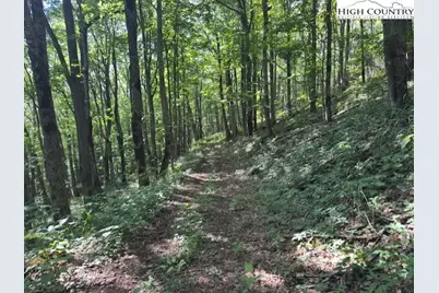 796 Goat Mountain Road, Zionville, NC 28698 - Photo 3