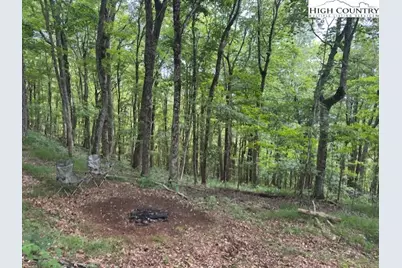 796 Goat Mountain Road, Zionville, NC 28698 - Photo 7