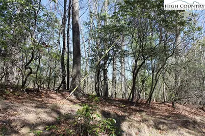 Tbd Trout Lake Road, Deep Gap, NC 28618 - Photo 23