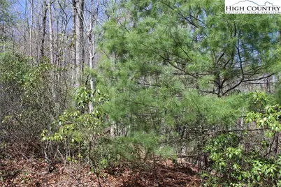 Tbd Trout Lake Road, Deep Gap, NC 28618 - Photo 17