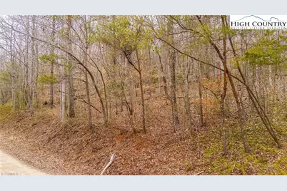 Tbd E Brocktown Road, Moravian Falls, NC 28654 - Photo 11
