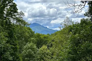 285 Wetherley, Boone, NC 28607 - Photo 19