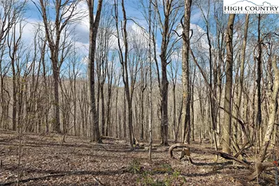 Tbd Cobbs Creek Road, Boone, NC 28607 - Photo 13