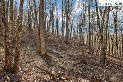 Tbd Cobbs Creek Road, Boone, NC 28607 - Photo 21
