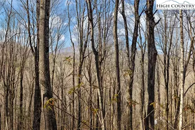 Tbd Cobbs Creek Road, Boone, NC 28607 - Photo 15