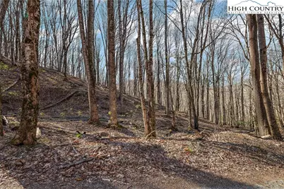 Tbd Cobbs Creek Road, Boone, NC 28607 - Photo 19