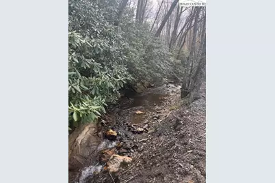 Tbd Bald Mountain Road, West Jefferson, NC 28694 - Photo 5