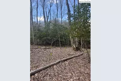 Tbd Bald Mountain Road, West Jefferson, NC 28694 - Photo 3