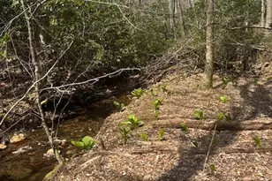 Tbd Bald Mountain Rd, West Jefferson, NC 28694 - Photo 1