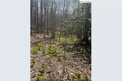 Tbd Bald Mountain Road, West Jefferson, NC 28694 - Photo 11