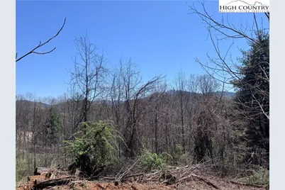 Lot 70 Laurel Mountain Drive, Sparta, NC 28675 - Photo 9