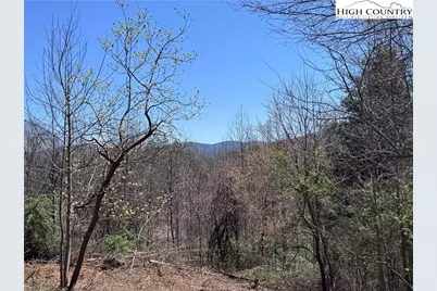 Lot 70 Laurel Mountain Drive, Sparta, NC 28675 - Photo 5