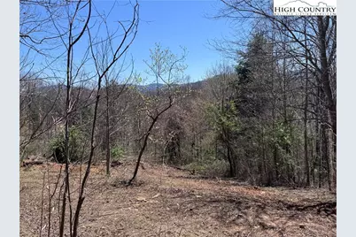 Lot 70 Laurel Mountain Drive, Sparta, NC 28675 - Photo 7