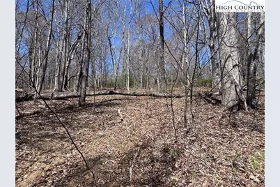 Lot 70 Laurel Mountain Drive, Sparta, NC 28675 - Photo 11