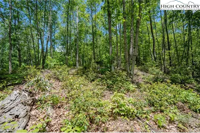 0 Beaver Dam Road, Elk Park, NC 28622 - Photo 3