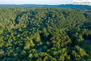 290 Star Dust Ln, Glade Valley, NC 28627 - Photo 3