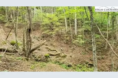 Fall Creek Meadows Fall Creek Meadows Lane, Elk Park, NC 28622 - Photo 1