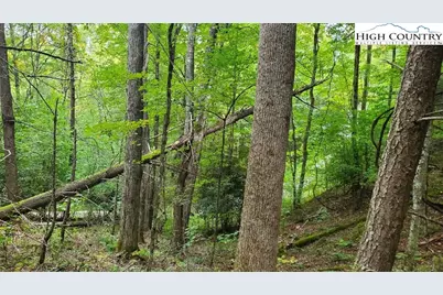 Fall Creek Meadows Fall Creek Meadows Lane, Elk Park, NC 28622 - Photo 3