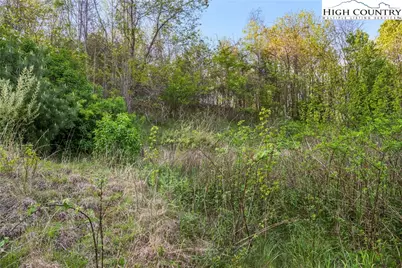 116 Beaver Creek School Road, West Jefferson, NC 28694 - Photo 7