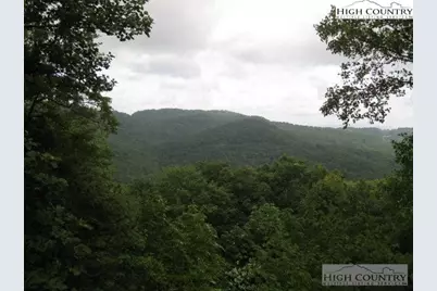 103 Bear Paw Path, Beech Mountain, NC 28604 - Photo 3